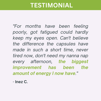 Organic Pure Moringa Leaf Powder 120g | Nutra Nourished-3