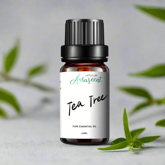 Tea Tree Essential Oil - 10ml-0